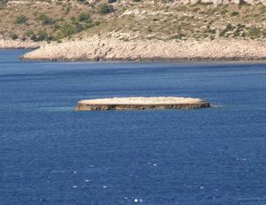 TANJURIĆ Poput "pijata" i bez vegetacije, ponosno stoji u PP Telašćica!