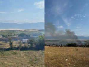 Ugašen požar u rezervatu ptica Kolanjsko Blato