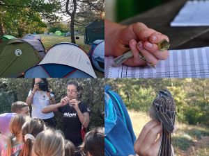 Otvoreni dani Ornitološkog kampa Učka 2025.