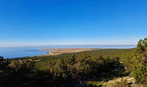 Na otoku Unije mještani otkrili skrivenu antičku vilu i sarkofag tik uz more