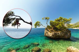 VIDEO Majmuniranje u Brelima: "Influenceri se penju na zaštićenu stijenu i ugrožavaju vegetaciju"