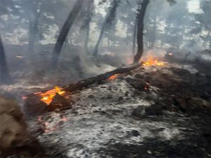 Još nije lokaliziran požar na Braču, planula četiri požara i u Zadarskoj županiji