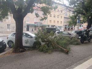 Grane u Splitu ponovno padale po automobilima
