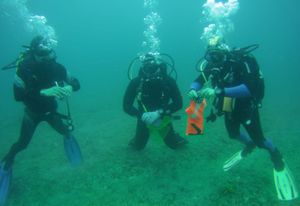 Ronioci očistili podmorje Brijuna