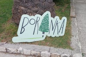 Kreće pošumljavanje požarišta u naselju Medena