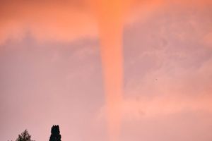 Fotogenična pijavica u Dubrovniku