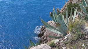 POVUKLI JE VALOVI Srpkinja radila selfie s prijateljicom i pala sa stijene u more u Crnoj Gori - Tijelo joj pronađeno u Hrvatskoj!