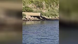 VIDEO - ZAGAĐENJE U BAKRU Pogledajte što izlazi iz ovih cijevi u Bakarski zaljev