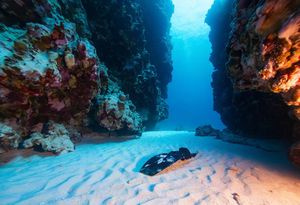 Još jedan mladi podmorski ribolovac izgubio život kod Šibenika: "Ovaj sport je iznimno opasan"