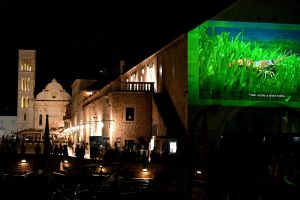 Hvar u znaku posidonije: Evo kako je udruga Sunce spojila umjetnost i ekologiju