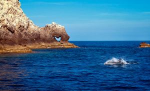 U Foto klubu Split otvara se izložba s posebnom emocijom spram Jadrana