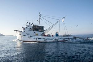 Privremena obustava ribolova pridnenim povlačnim mrežama - evo gdje i kako ostvariti potpore!