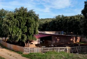 DEVASTACIJA ZAŠTIĆENE PRIRODE Godinama besopravno gradi u istarskom ornitološkom rezervatu