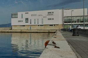 RIJEKA Najveći njemački proizvođač oružja Rheinmetall kupuje lokaciju na lučkom terminalu