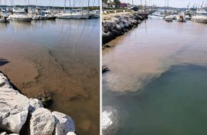 ZAGAĐENJE MORA Blato u pulskoj lučici Mandrač - Ima ga stvarno puno!