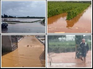 POSLJEDICE NEVREMENA Hoće li u Istri biti proglašena elementarna nepogoda i je li dijelom za katastrofu kriva bezumna betonizacija?