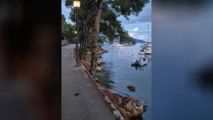 BOROVI UZ ŠETNICU SU NOVE BITVE: "Kad kapetaniju boli ona stvar, zašto bi se oni brinuli?"