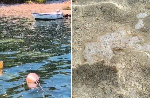 VIDEO - ŠTO SE DOGAĐA? Desetke kilometara obale, od Draga, preko Pirovca do Srime, more preplavila nepoznata sapunica!