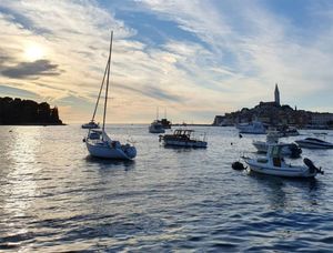 Rovinjež na prevaru pokušao zadržati nasljedstvo za sebe