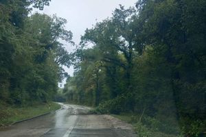 Zbog jakog vjetra i kiše najviše intervencija imaju vatrogasci iz JVP Poreč