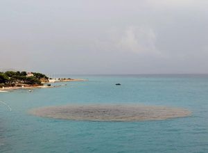 KAKVA GLUPOST Na splitskim Bačvicama za uočeno onečišćenje optužili kruzere, samo što kruzeri ne ispuštaju savršene krugove i ne plove plićacima...