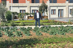 Novi šef najvažnije splitske tvrtke u kupusu: "Više ovo valja nego svi 'mišelini' i 'plave kamenice'"