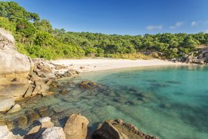 TRAGEDIJA NA OTOKU GUŠTERA Posada kruzera zaboravila i ostavila 80-godišnju putnicu - Ujutro pronađena mrtva