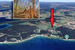 Dvojac iz Tinjana i Žbandaja dobio po šest mjeseci uvjetnog zatvora zbog nezakonitog rušenja stabala