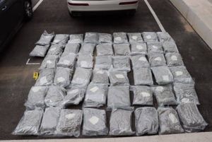 PN USKOK Služba Split zaplijenila više od 80 kilograma marihuane i novac od prodaje