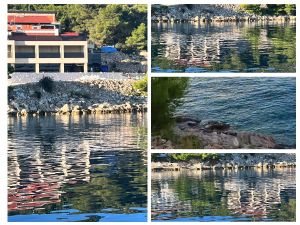 DEVASTACIJA U Ražnju kod Rogoznice stranac gradi kuću pa materijal bez pardona nasipa po škrapama!