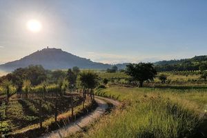 Teško ozlijeđen Švicarac u blizini Motovuna
