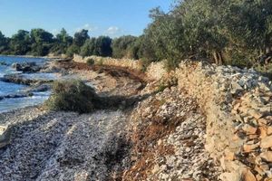 Omiljenu pelješku plažu "pregazio" bager, investitor iz BiH napravio crnu jamu, počupao stoljetne masline...