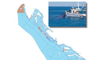 NOVA OGRANIČENJA Plivarice-srdelare od danas ne smiju izlovljavati na ovim područjima!