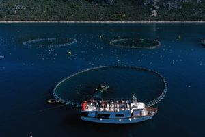 Zadarska županija ruši rekorde: U listopadu preko 68 tisuća zaposlenih, rast od 40 posto u deset godina