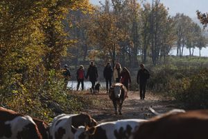 2. GO! Festival u Gračacu i Obrovcu