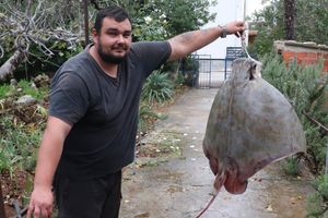 NAKON BROJNIH KRITIKA GRAĐANA Glasnogovornik Ministarstva ribarstva potvrdio za Morski: "Ribar s Vira nije smio zadržati goluba ćukana, to je ugrožena vrsta!"