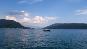 Plava učionica: Zašto su invazivne vrste prijetnja Jadranu?