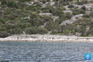 Prijavite se na jubilarni XX. Škraping - humanitarna nota za zadarsko rodilište