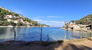 Projekt “Hrvatska prirodno tvoja” u Jelsi - Zasađeno 10 novih stabala za održiviju budućnost