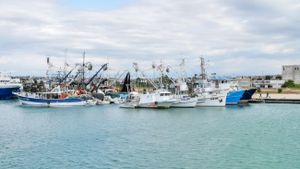 Zadarski župan s ribarima: "Modernizacija Ribarske luke Gaženica ide dalje uz podršku EU fondova"