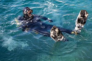 Čist Božić i bistra nova 2026. u hvarskom portu!