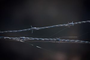 RIJEKA Otvorena izložba o koncentracijskim logorima fašističke Italije u Hrvatskom primorju