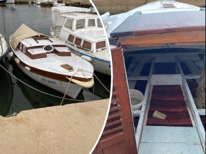 Stavio oglas da poklanja pasaru u Neviđanima, pa se odlučio "vratiti dite materi"...