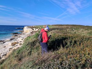 Terensko istraživanje morskih vranaca na području Nacionalnog parka Brijuni