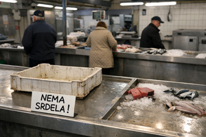 Lovostaj gotov, a Riječani gladni srdela: "Na ribarnici je nema, evo i zašto!"