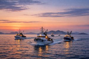 ZAŠTITA EUROPSKIH RIBARA I OCEANSKIH RESURSA Odbor za ribarstvo Europskog parlamenta glasa o izvješćima Željane Zovko