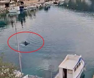 Dupin posjetio Žrnovsku Banju na Korčuli