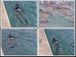 TKO JE OVDJE LUD Tip u Makarskoj u podvodnom ribolovu - u gradskoj luci!?