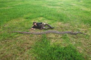Najduža zmija na svijetu izmjerena na poznatom otoku