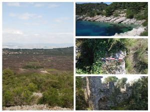 ŠOLTA Međunarodni tim znanstvenika istražuje drevnu povijest proizvodnje vina i maslinovog ulja na otoku